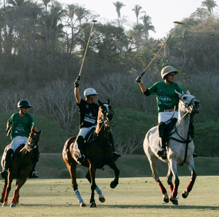 Tucanê viste la IX Riviera Nayarit Polo Cup 2024.