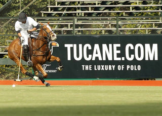 Abierto San Jorge, Argentina Polo Club2013 - Tucanê