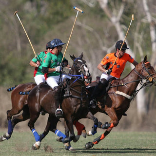 AGUA ALTA POLO CUP CAREYES 2018 - Tucanê