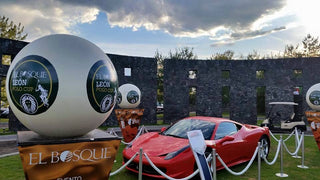 El Bosque León Polo Cup