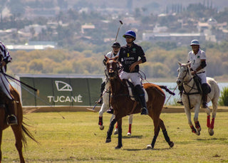 EL BOSQUE LEÓN POLO CUP