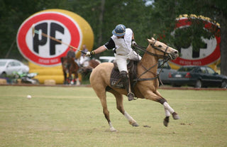 LA FAMILIA DEL POLO EN CHILE