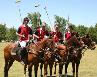 Liga de Polo Chile 2013 - Tucanê