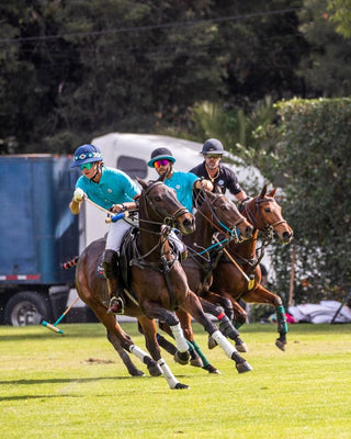 Polo Fest 2022 con Tucanê