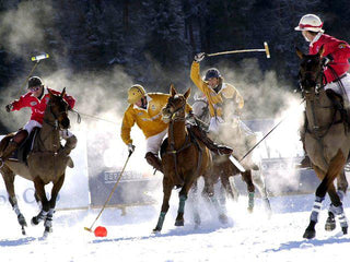 SNOW POLO SEASON 2012 - Tucanê