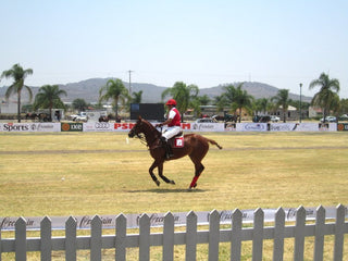 Torneo de Polo La Reserva Cajititlan