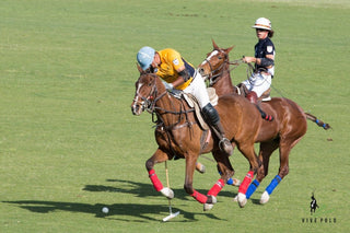 Tucanê México Polo Tour San Miguel de Allende