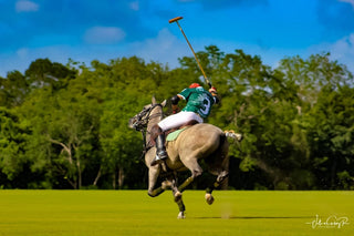 TUCANÊ - SUMMER POLO CUP 2019 - Tucanê