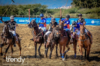 V Riviera Nayarit Beach Polo Cup