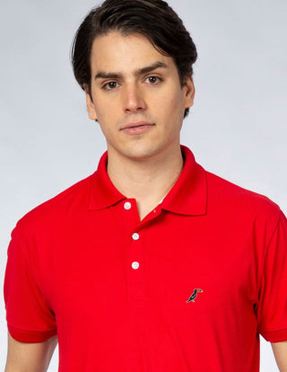 Ropa Polo | Tucanê ropa de marca hombre