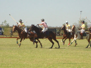 III Abierto Tapatío de Polo, Copa Nespresso